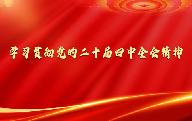 学习贯彻党的二十届四中全会精神