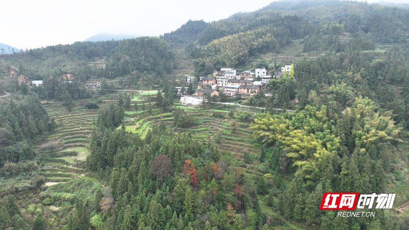 1_副本.jpg 1_副本.jpg