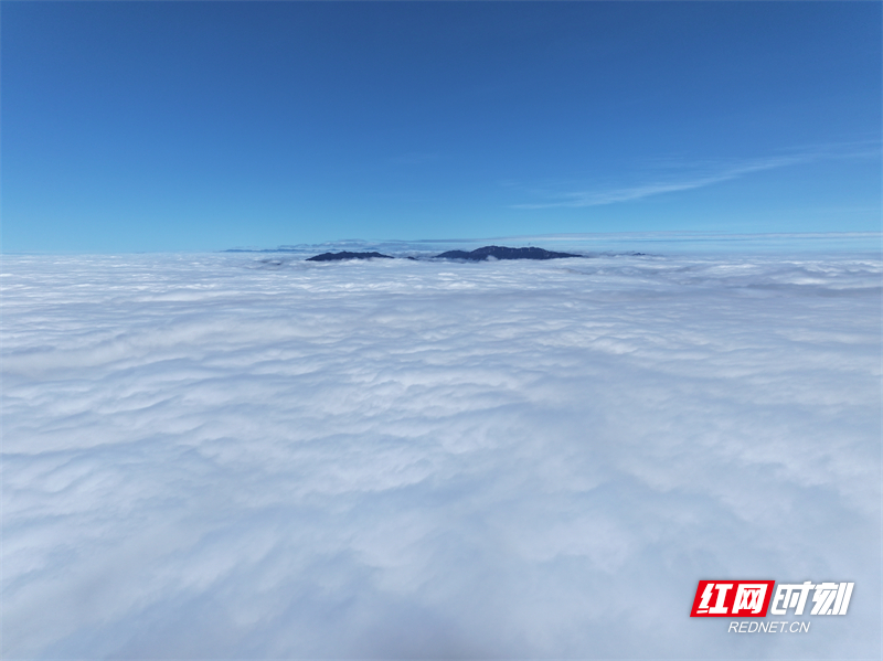 DJI_20251106120226_0770_D.jpg DJI_20251106120226_0770_D.jpg