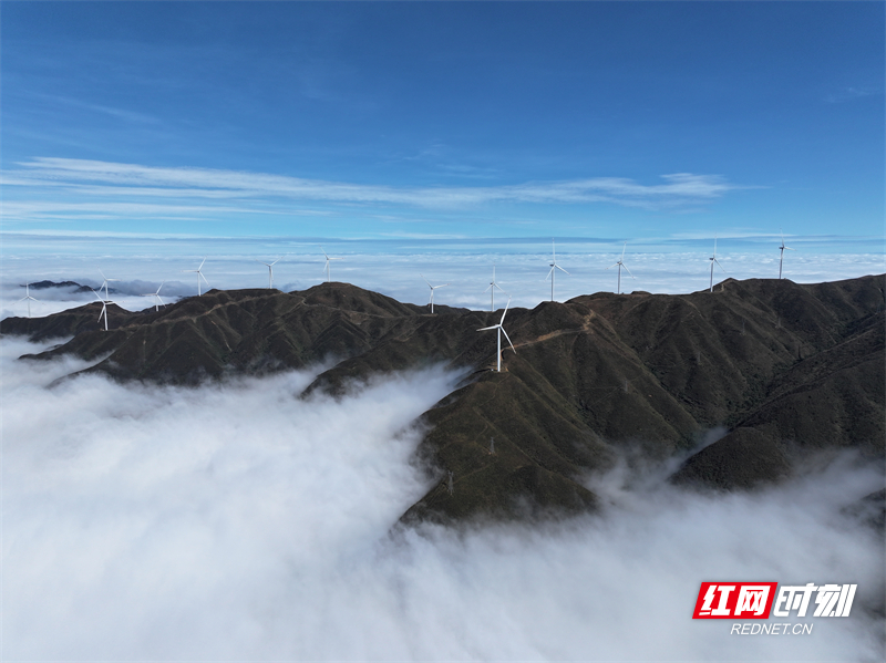 DJI_20251106120454_0775_D.jpg DJI_20251106120454_0775_D.jpg