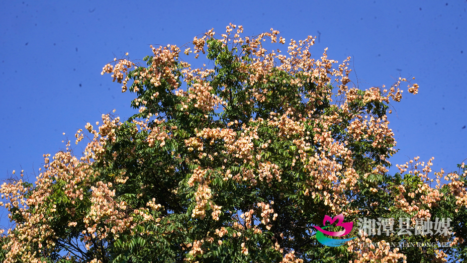 图片4.png 图片4.png