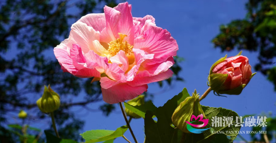 图片6.png 图片6.png