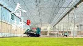 海报｜春暖莲乡 万象“耕”新