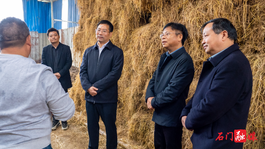 李长春到部分乡镇、街道督导当前重点工作2.jpg 李长春到部分乡镇、街道督导当前重点工作2.jpg