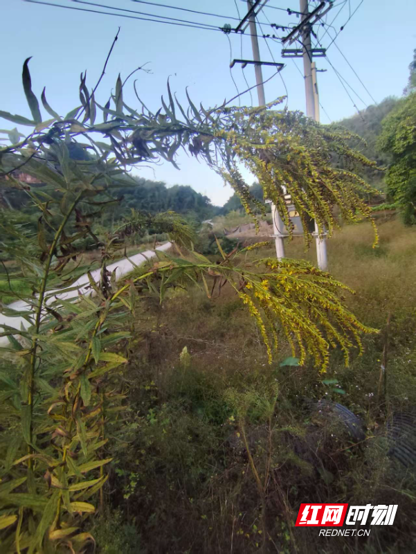 微信图片_20251107103732.jpg 微信图片_20251107103732.jpg