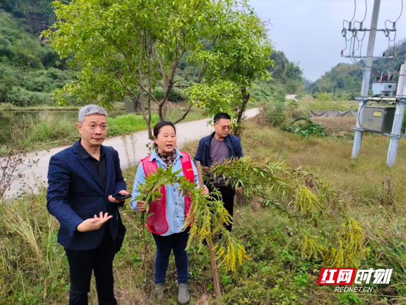 微信图片_20251107103900.jpg 微信图片_20251107103900.jpg