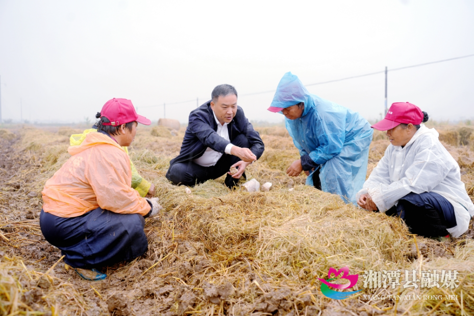 图片1.jpg 图片1.jpg