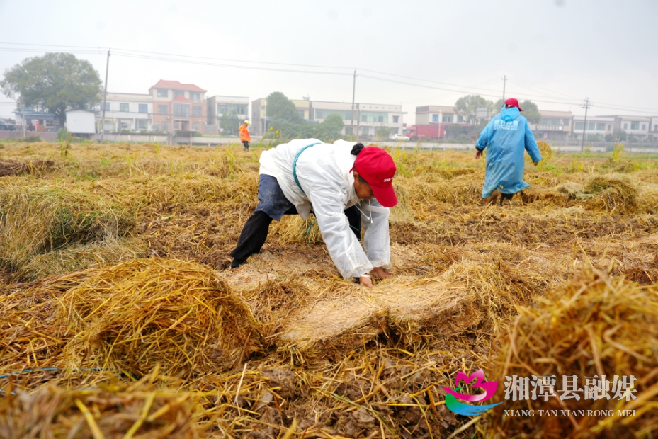 图片3.jpg 图片3.jpg