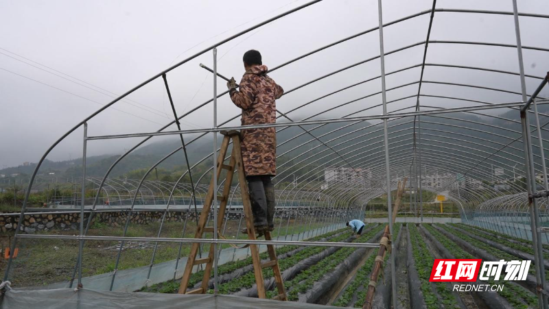 image001.jpg image001.jpg