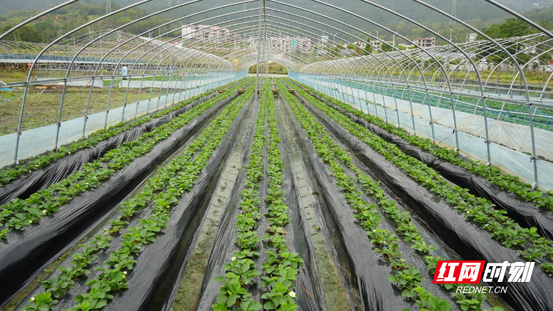 image019.jpg image019.jpg