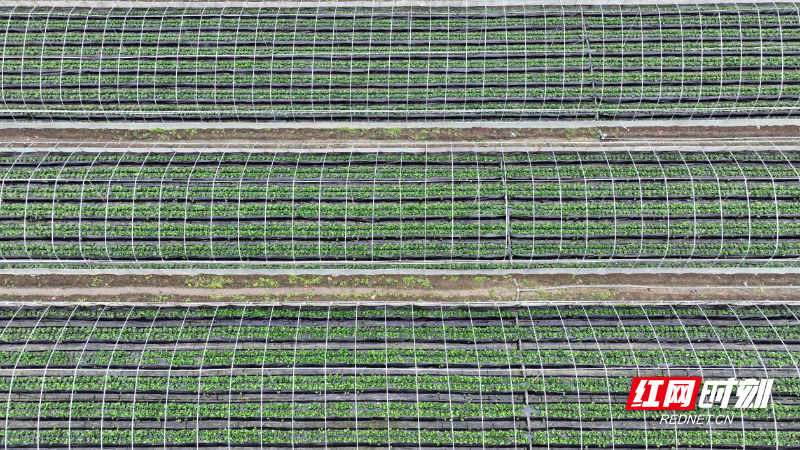 image007.jpg image007.jpg