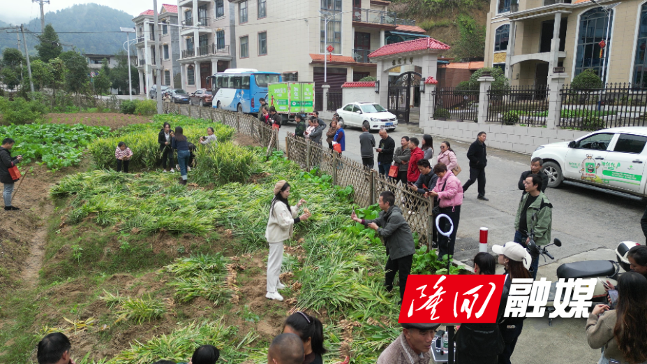 DJI_0906.jpg DJI_0906.jpg