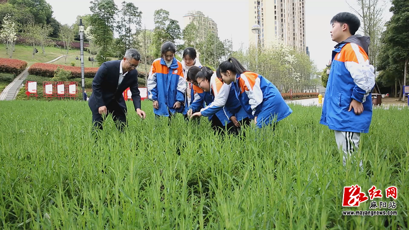 微信图片_20251110092244.png 微信图片_20251110092244.png