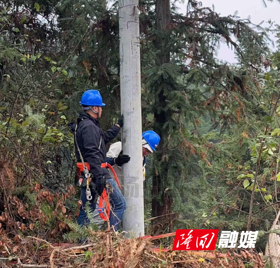 1766b8ca7065ba8daad1646bd1a7c409(1).jpg 1766b8ca7065ba8daad1646bd1a7c409(1).jpg