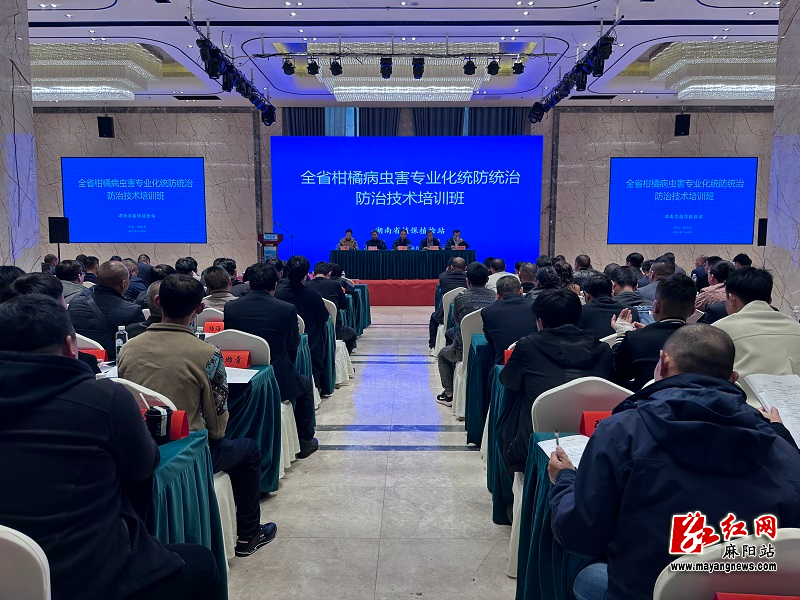 微信图片_20251110103705.jpg 微信图片_20251110103705.jpg