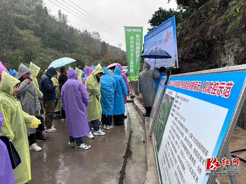 微信图片_20251110103708.jpg 微信图片_20251110103708.jpg