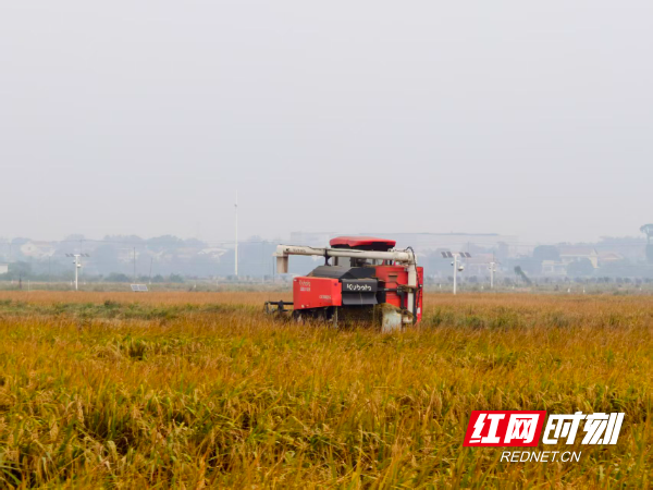 微信图片_2025-11-10_160807_810.png 微信图片_2025-11-10_160807_810.png