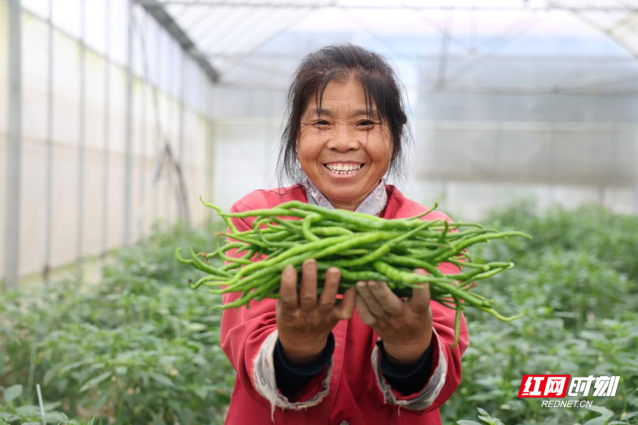 图片2.png 图片2.png