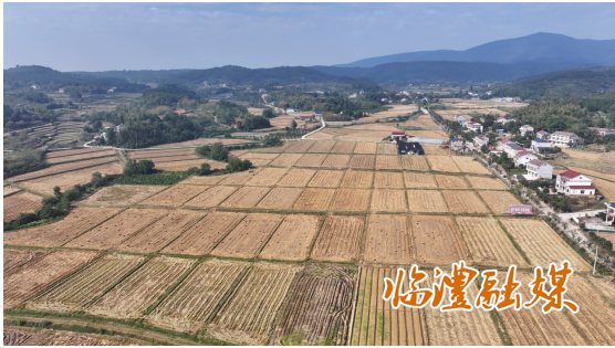 ScreenShot_2025-11-11_093626_600.png ScreenShot_2025-11-11_093626_600.png