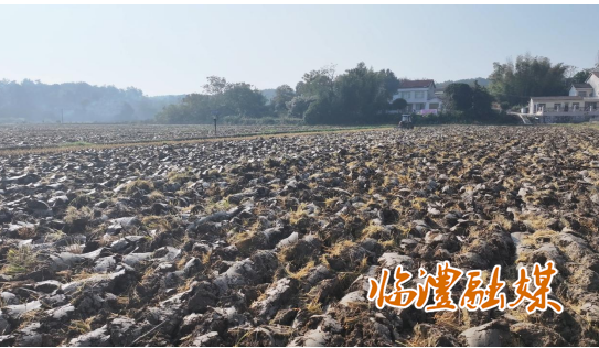 ScreenShot_2025-11-11_093634_765.png ScreenShot_2025-11-11_093634_765.png