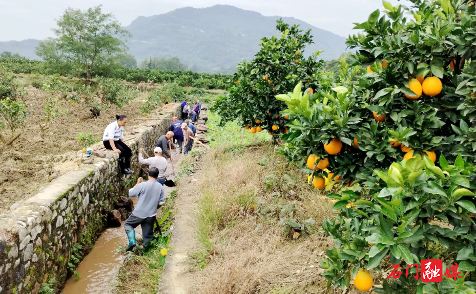 维新镇:清淤畅渠润民生 志愿同心助振兴1.jpg 维新镇:清淤畅渠润民生 志愿同心助振兴1.jpg