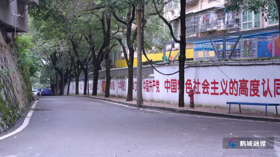 鹤城区城中街道：人大牵头解民忧  基层治理焕新颜（半成品01）.mp4_000039.640.png