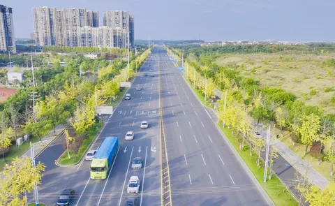 暖阳染秋景 彩叶缀繁花 市园林绿化维护中心绘就深秋民生幸福景