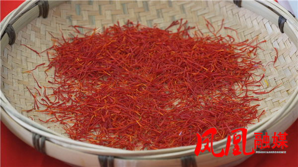 Still1114_00004.png Still1114_00004.png