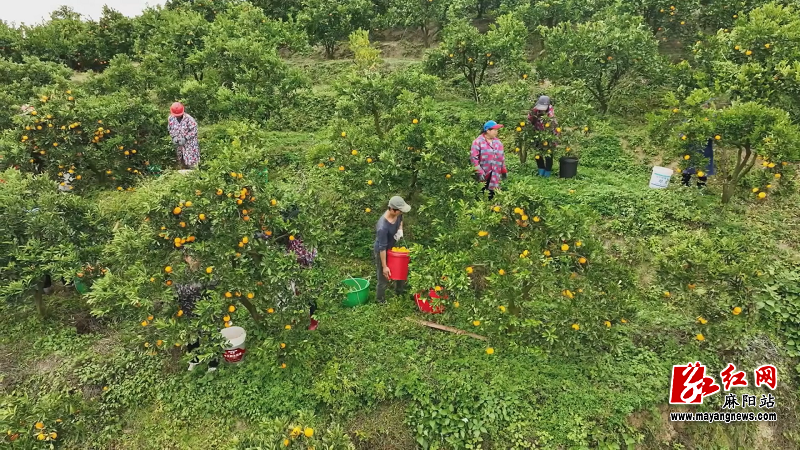 微信图片_20251114155348.png 微信图片_20251114155348.png