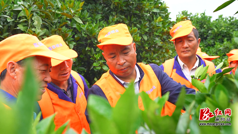 微信图片_20251114155350.png 微信图片_20251114155350.png