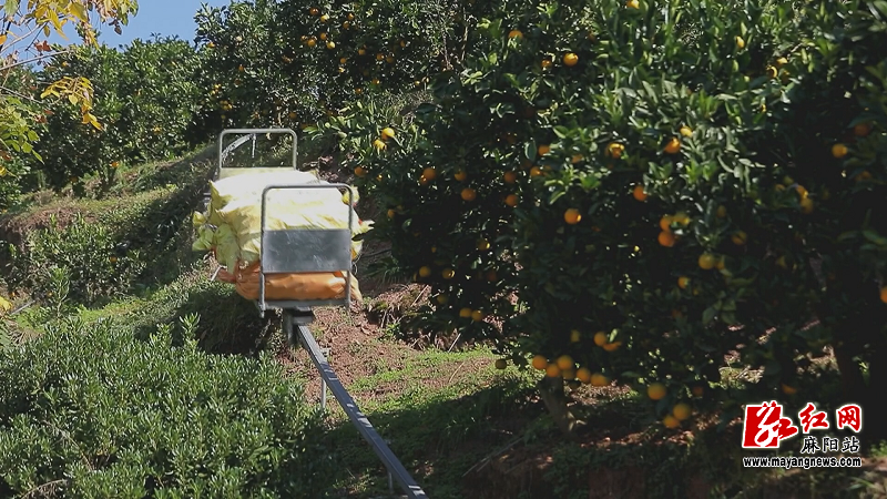 微信图片_20251114155356.png 微信图片_20251114155356.png