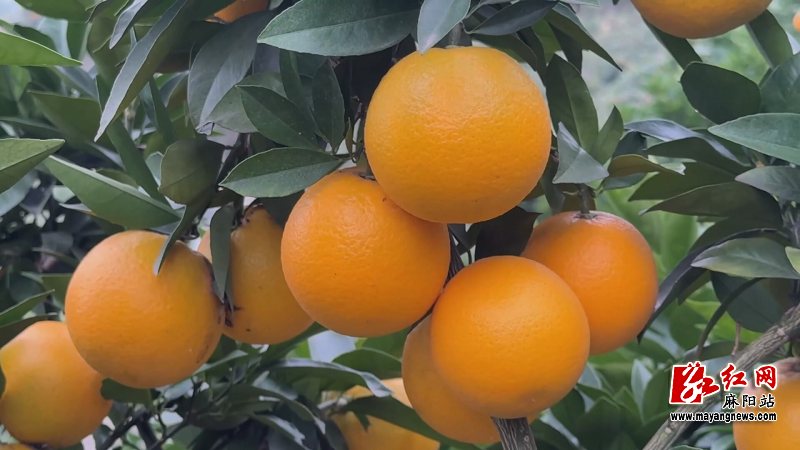 微信图片_20251114155342.png 微信图片_20251114155342.png