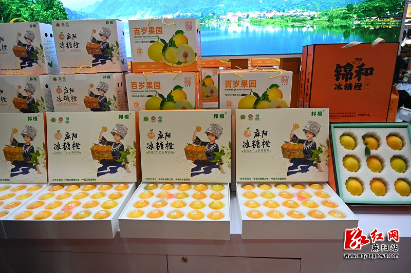 微信图片_20251114155328.jpg 微信图片_20251114155328.jpg