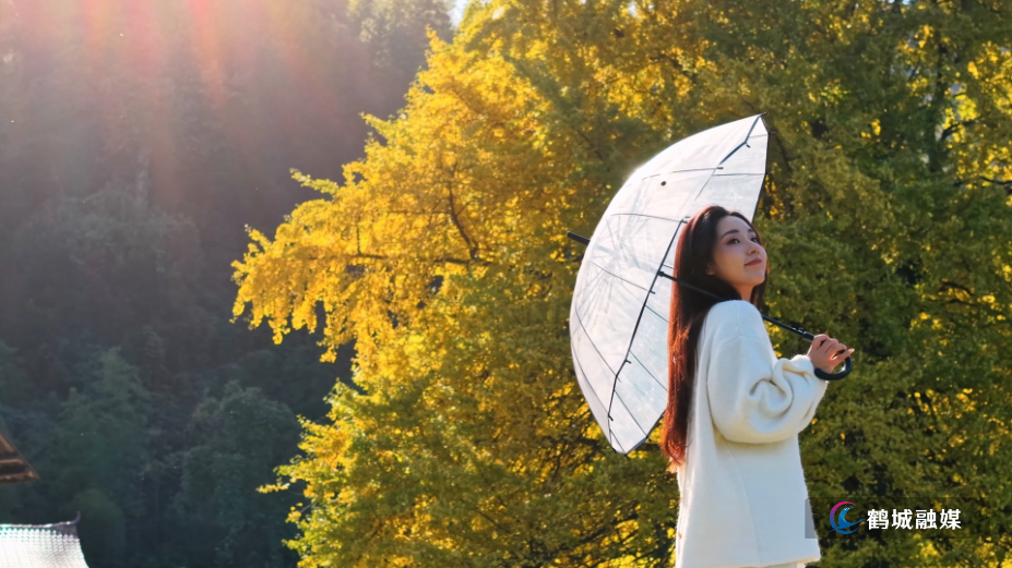 怀化市鹤城区：千年银杏披金衣 冬日美景醉游人（音乐视频）.mp4_000021.005.png