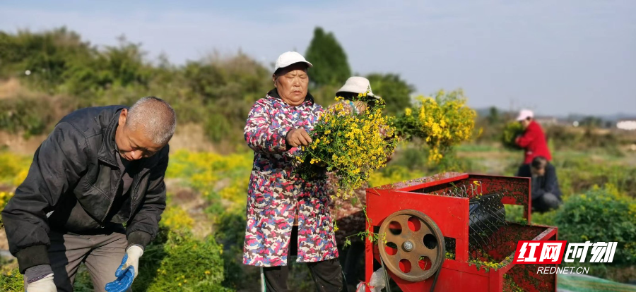 26960ed2b89f09dda8aac2bc1303091c.jpg 26960ed2b89f09dda8aac2bc1303091c.jpg