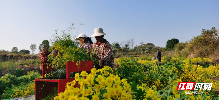 8666827b7389344059e80ae4184234b6.jpg 8666827b7389344059e80ae4184234b6.jpg