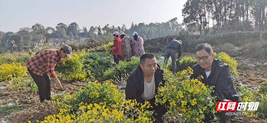 f3a384d90f8eb528b4fd4a0fd828903f.jpg f3a384d90f8eb528b4fd4a0fd828903f.jpg