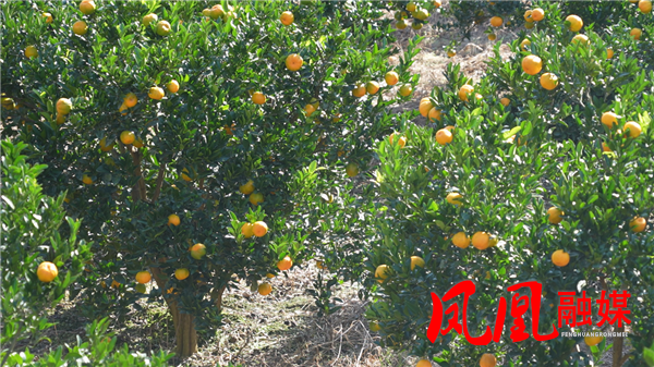 图片3_副本.png 图片3_副本.png