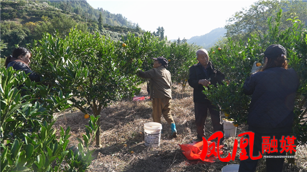 图片4_副本.png 图片4_副本.png