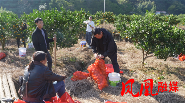 图片2_副本.png 图片2_副本.png