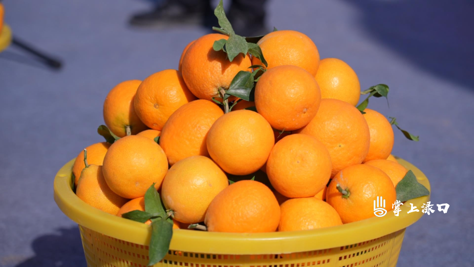 微信图片_20251115140227_1440_1.jpg 微信图片_20251115140227_1440_1.jpg