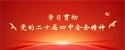 学习贯彻党的二十届四中全会精神