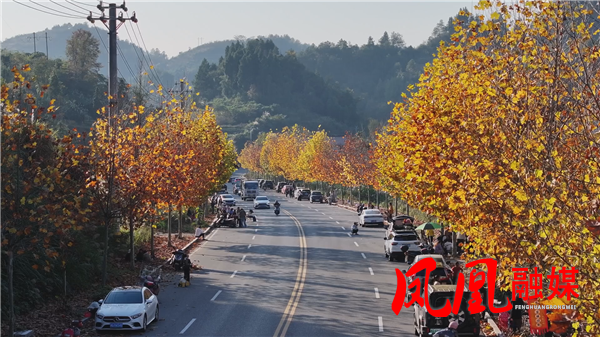 Still1116_00003.png Still1116_00003.png