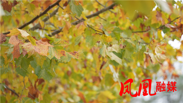 Still1116_00005.png Still1116_00005.png