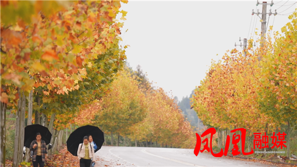 Still1116_00002.png Still1116_00002.png