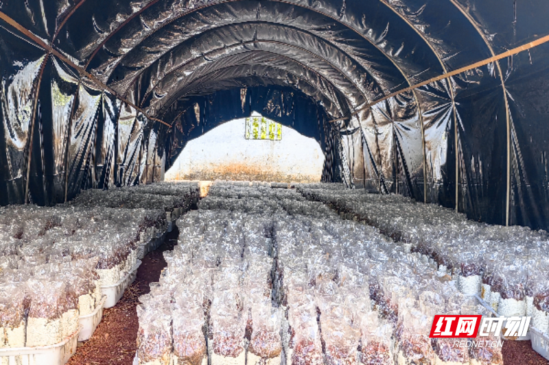 微信图片_2025-11-17_084847_955.png 微信图片_2025-11-17_084847_955.png