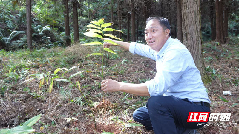 6b56e55ecd2c03166a5a70fbb2907627.jpg 6b56e55ecd2c03166a5a70fbb2907627.jpg