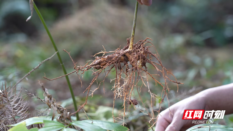 a352de6d82a359ae2689174d05910142.jpg a352de6d82a359ae2689174d05910142.jpg