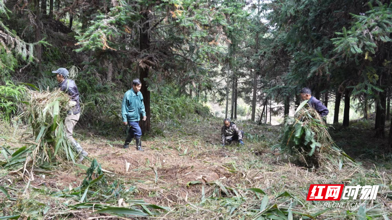 cf07b05924e18d58fec8e68edbc8f2ba.jpg cf07b05924e18d58fec8e68edbc8f2ba.jpg