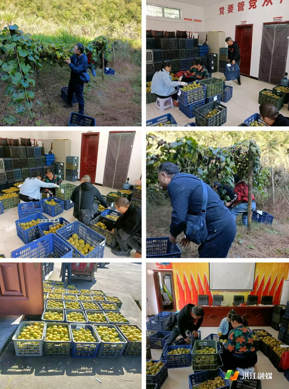 市公路建设养护中心1.png 市公路建设养护中心1.png